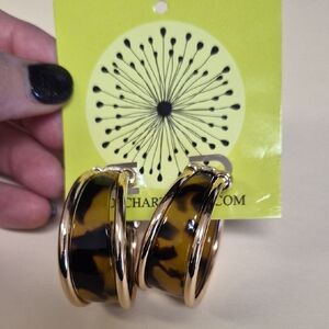 Tortoise And Gold Hoop Earrings